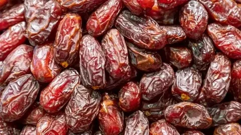 تصویر 3 از خرید خرما کبکاب خشک + بهترین قیمت